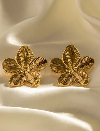 Liam | Women S Accessories Jtv & Jewelry